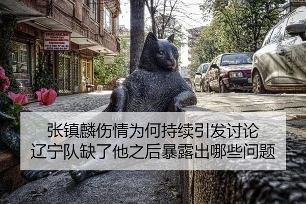 张镇麟伤情为何持续引发讨论 辽宁队缺了他之后暴露出哪些问题（leyu）