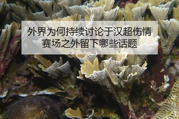 外界为何持续讨论于汉超伤情 赛场之外留下哪些话题（leyu）